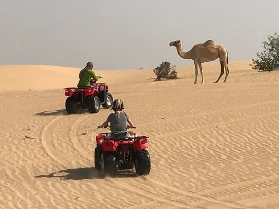 quad bike driving with